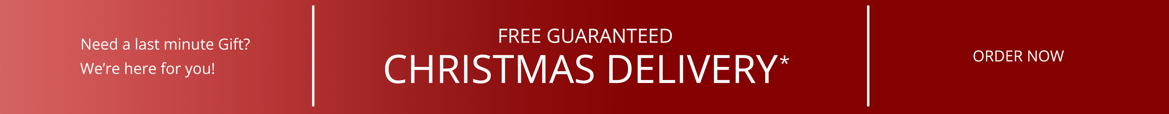 Guaranteed Delivery by Christmas* - Diamondstuds.com